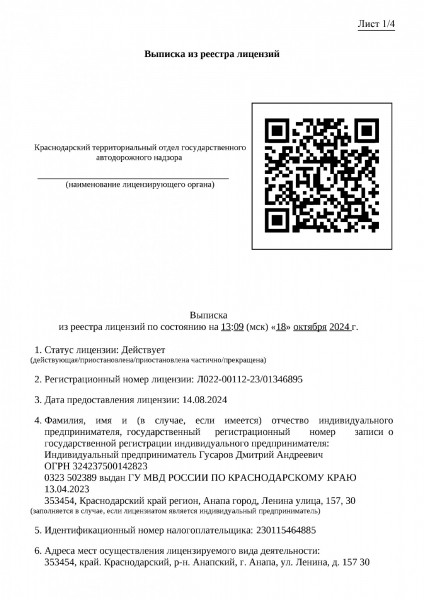 Лицензия (нового образца)